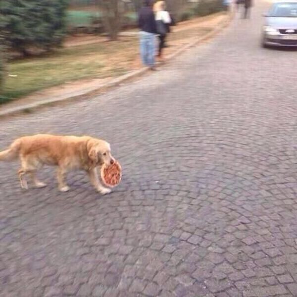 Morning Picdump