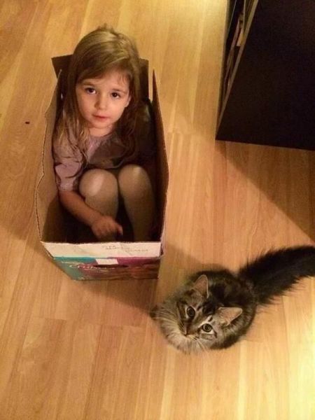 Morning Picdump