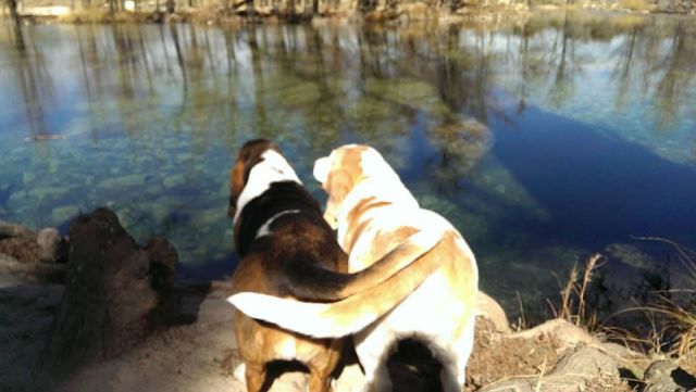 Morning Picdump
