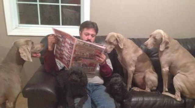 Content Image