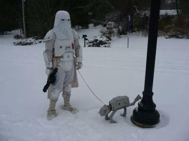 Content Image