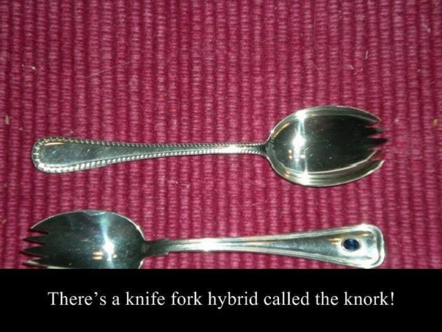 Content Image