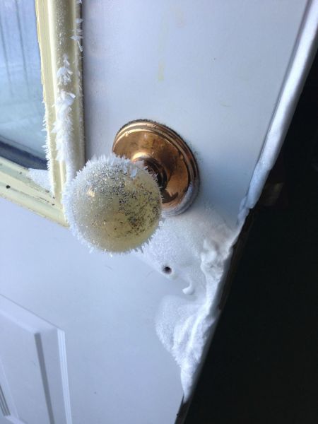 Content Image