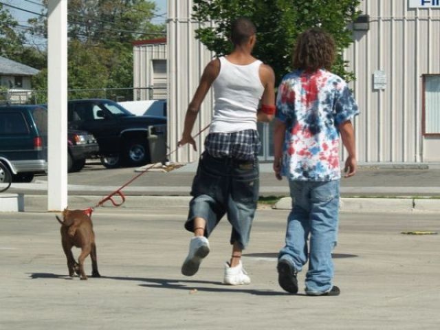Pull Your Pants Up Man