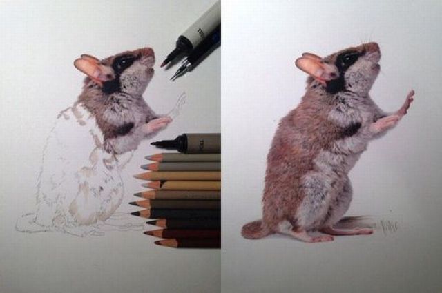 Content Image