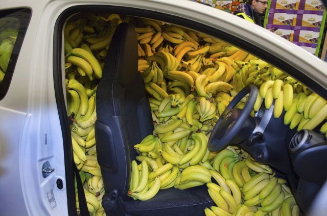 Content Image