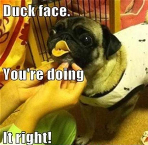 Don’t Just Do Things, Do Things Right!