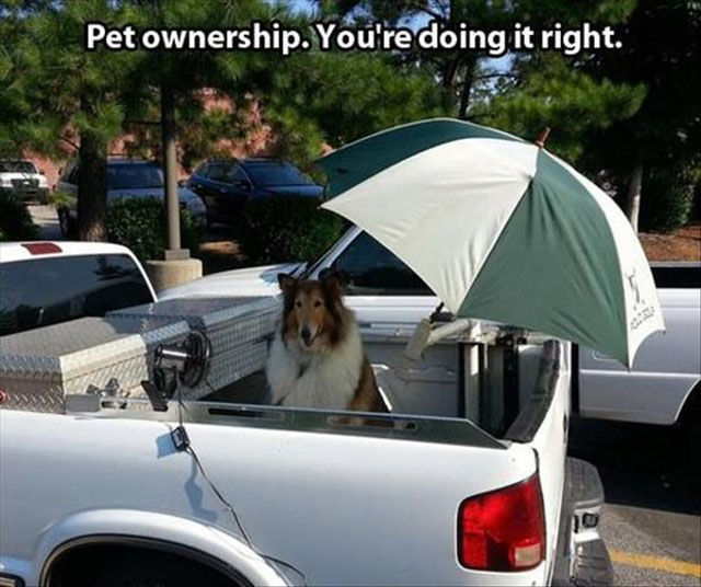Don’t Just Do Things, Do Things Right!