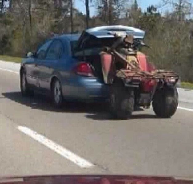 Morning Picdump