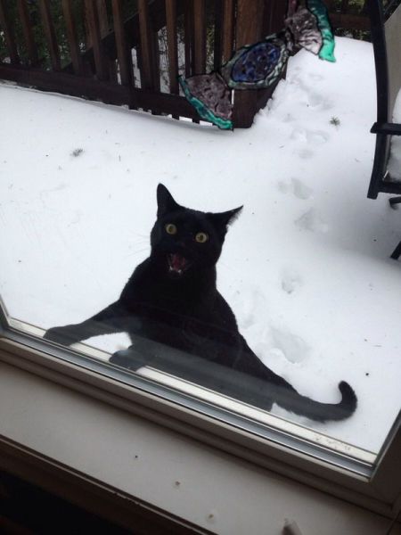 Morning Picdump
