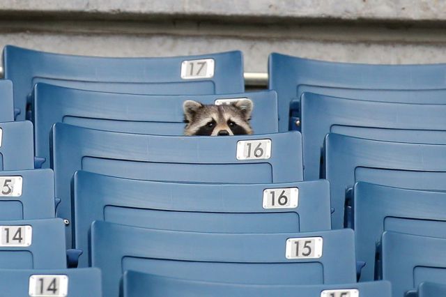 Morning Picdump