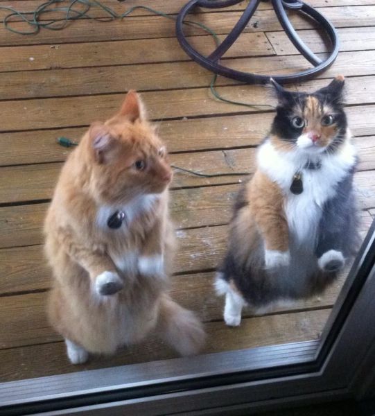 Morning Picdump