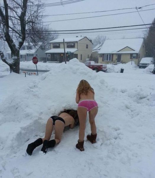 Content Image