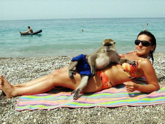 Morning Picdump