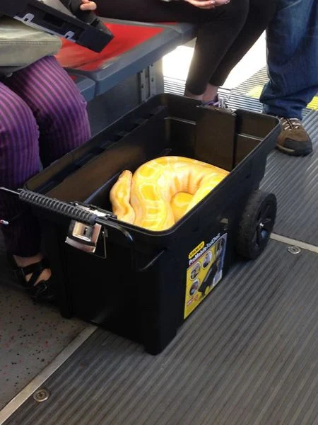 Daily Picdump