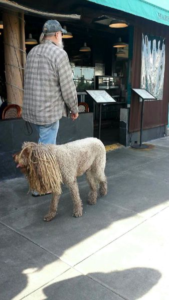 Daily Picdump