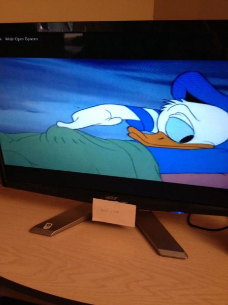 Daily Picdump