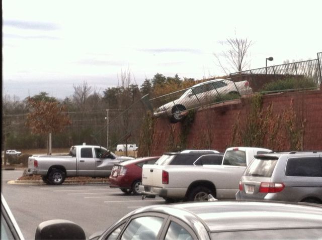 Daily Picdump