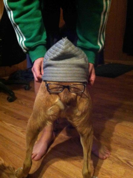 Content Image