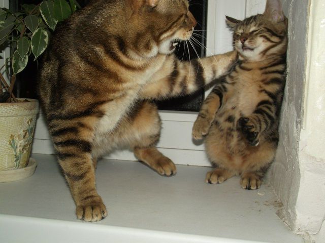 Morning Picdump