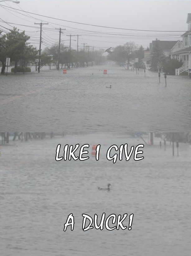 Funny Picdump