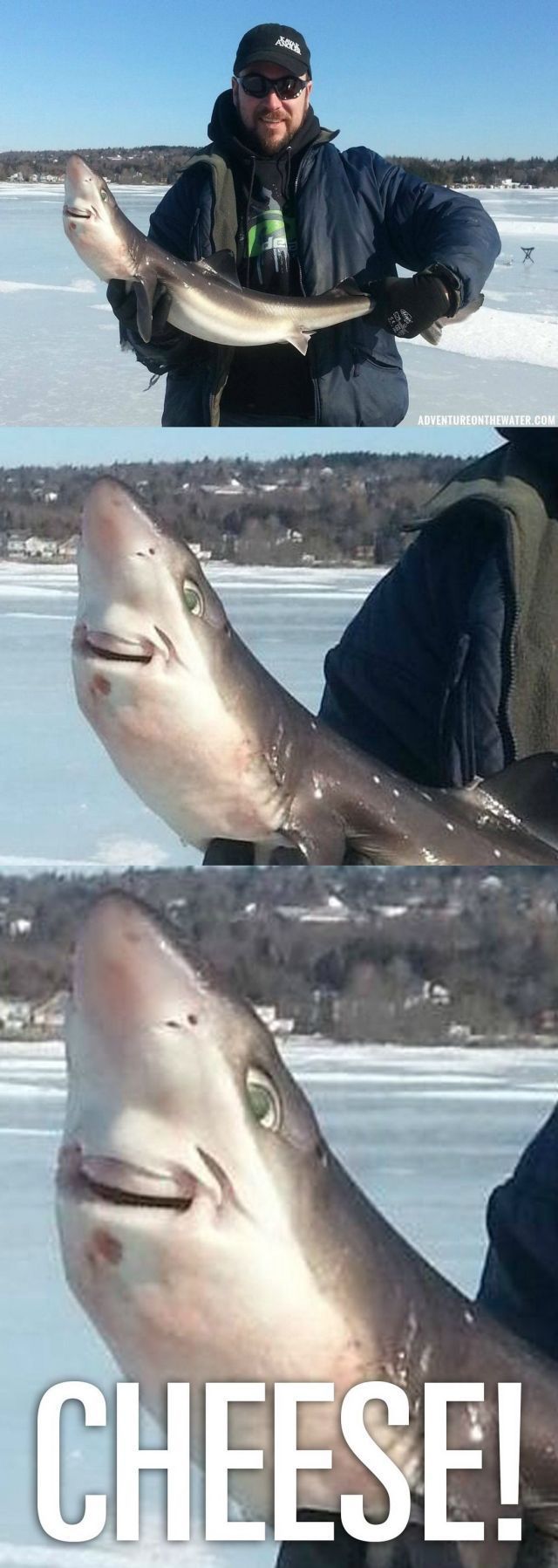Content Image
