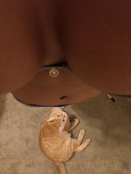 Content Image