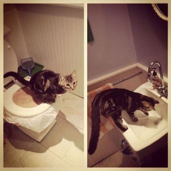 Morning Picdump