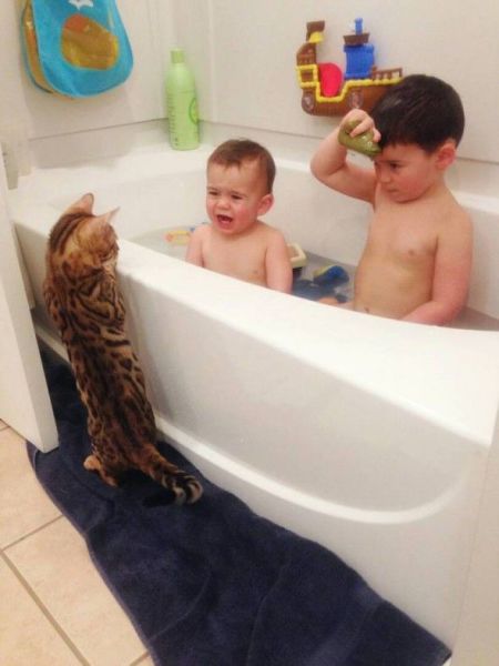 Morning Picdump