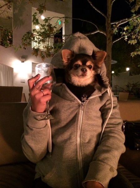 Content Image