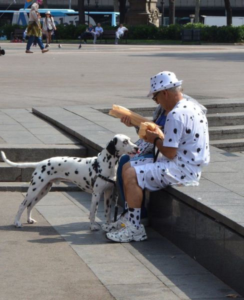 Content Image