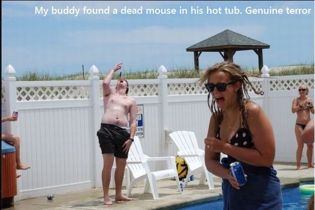 Morning Picdump