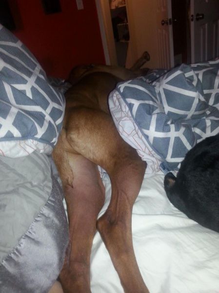 Morning Picdump