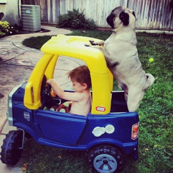 Morning Picdump