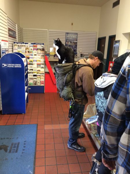 Morning Picdump