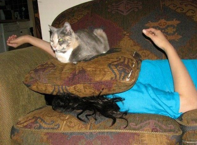 Morning Picdump