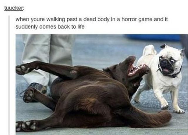 Morning Picdump