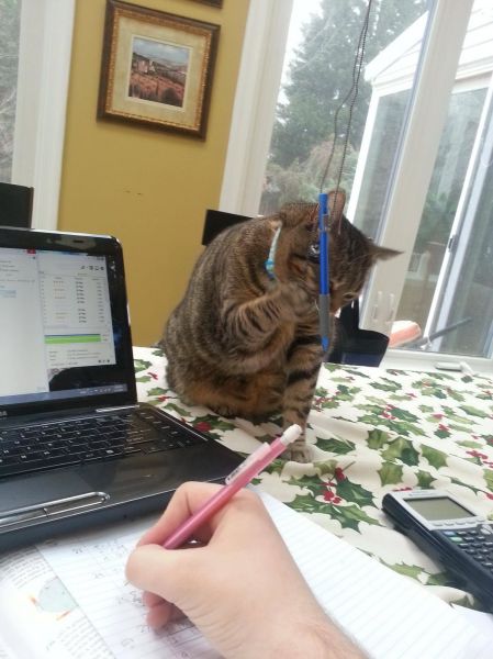 Morning Picdump
