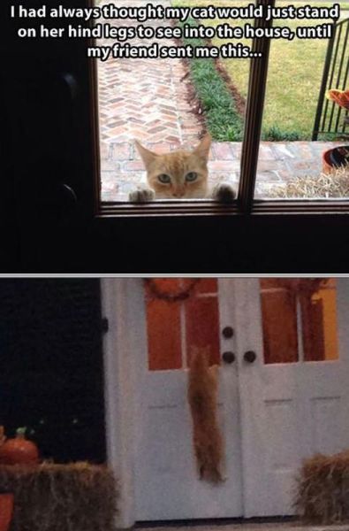 Morning Picdump
