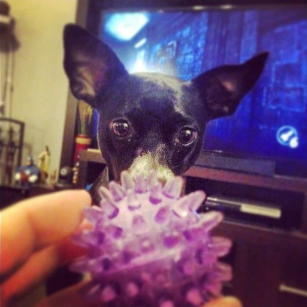 Morning Picdump