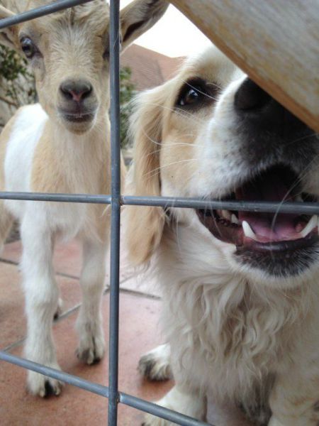 Morning Picdump