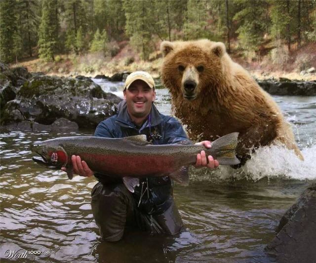Morning Picdump