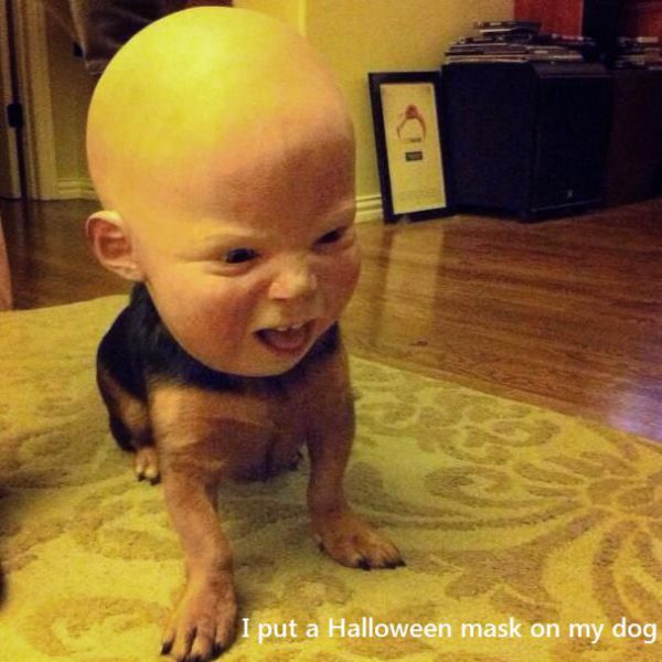 Morning Picdump
