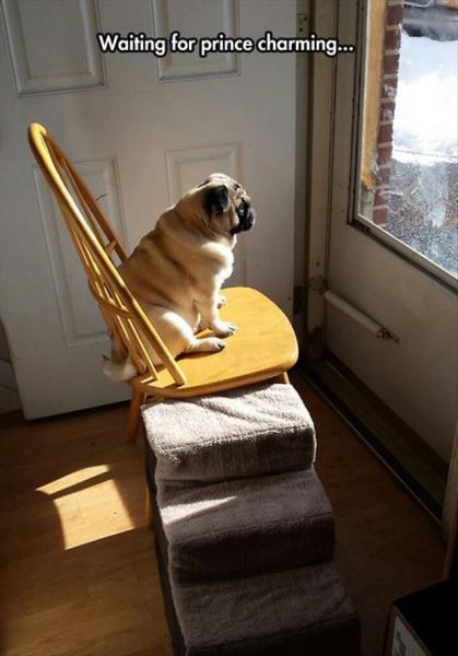 Morning Picdump