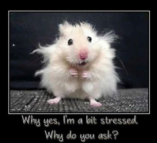 Funny Picdump