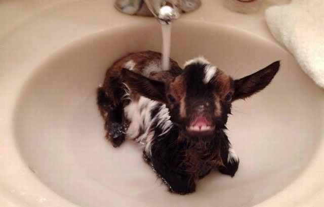 Morning Picdump