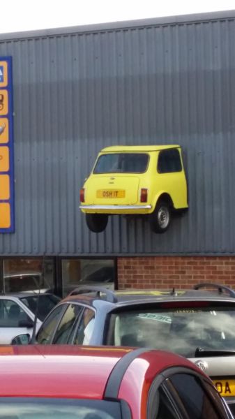 Morning Picdump