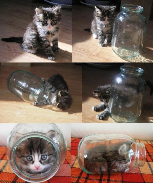 Content Image