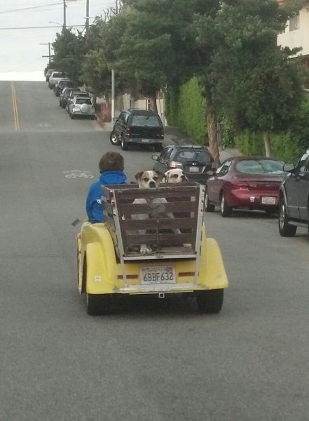 Content Image