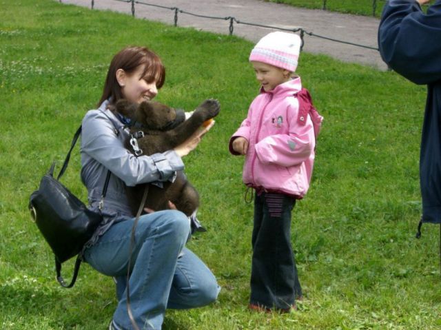 Content Image